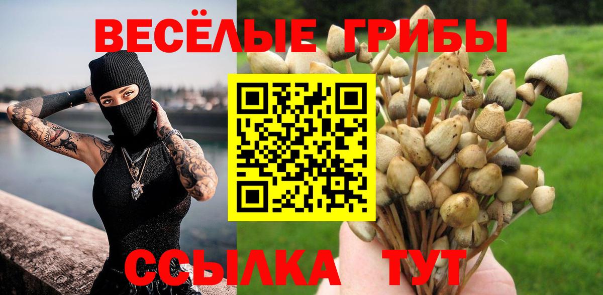 Псилоцибиновые грибы мицелий Егорьевск